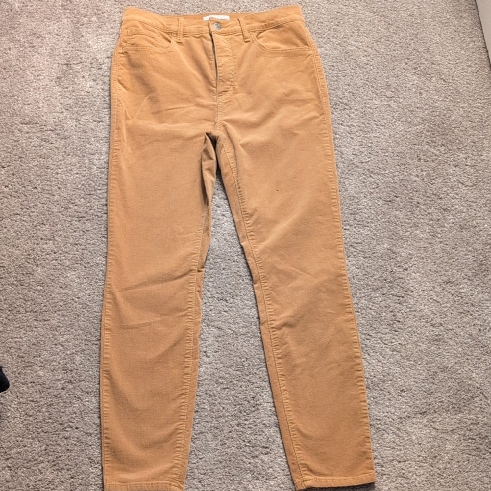 LOFT Women's Ankle Length Courdoroy Pants